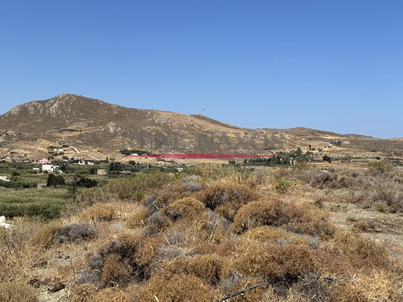 Αγροτεμάχιο στην Εγγαρές, Νάξος — Φωτογραφία 25 από 30