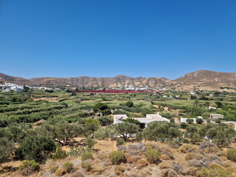 Αγροτεμάχιο στην Εγγαρές, Νάξος — Φωτογραφία 11 από 30
