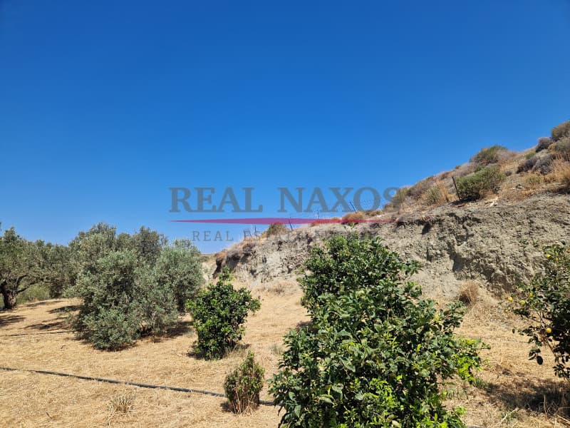 Αγροτεμάχιο στην Εγγαρές, Νάξος — Φωτογραφία 3 από 30