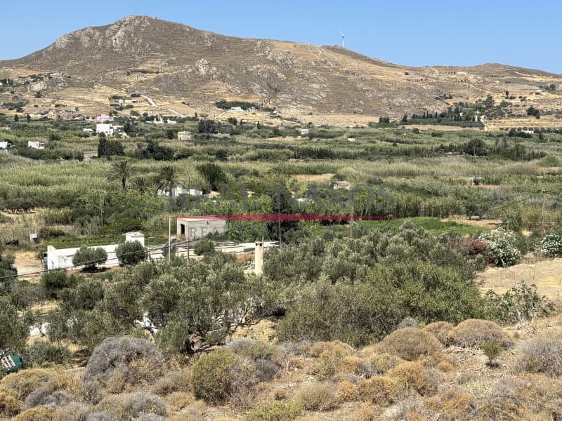 Αγροτεμάχιο στην Εγγαρές, Νάξος — Φωτογραφία 26 από 30