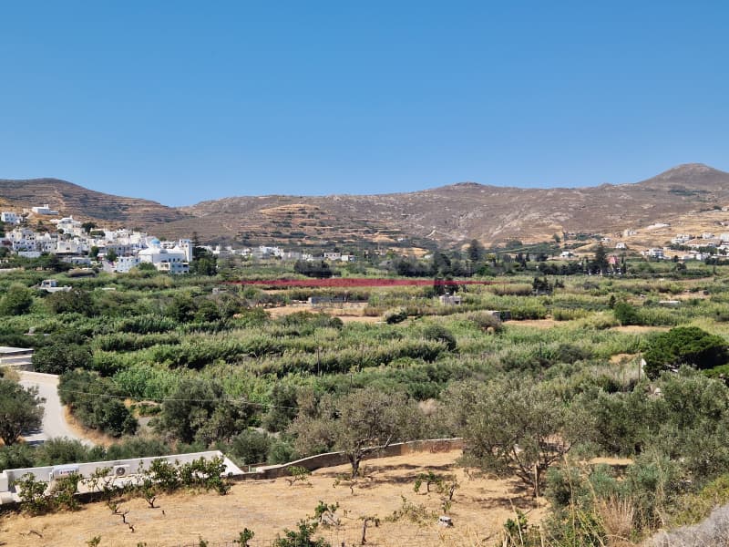 Αγροτεμάχιο στην Εγγαρές, Νάξος — Φωτογραφία 7 από 30