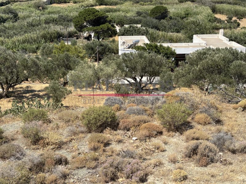 Αγροτεμάχιο στην Εγγαρές, Νάξος — Φωτογραφία 27 από 30