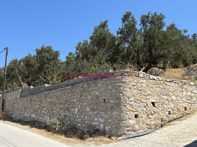 Αγροτεμάχιο στην Εγγαρές, Νάξος — Φωτογραφία 2 από 30