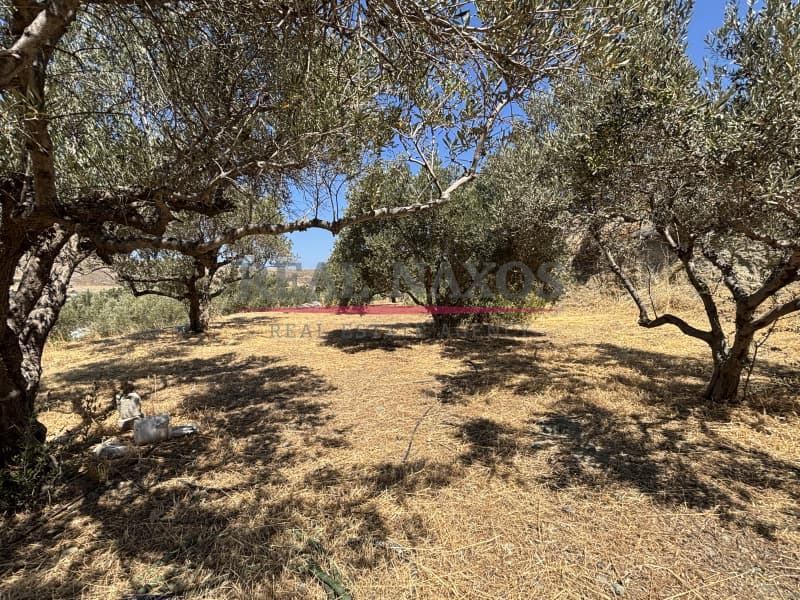 Αγροτεμάχιο στην Εγγαρές, Νάξος — Φωτογραφία 19 από 30
