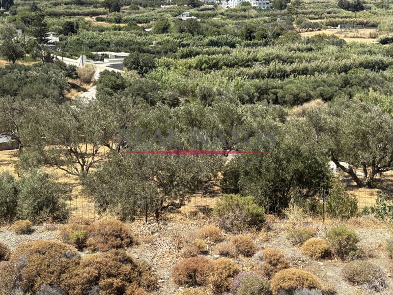 Αγροτεμάχιο στην Εγγαρές, Νάξος — Φωτογραφία 28 από 30