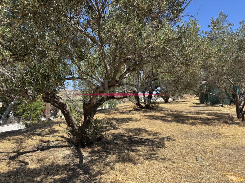 Αγροτεμάχιο στην Εγγαρές, Νάξος — Φωτογραφία 16 από 30