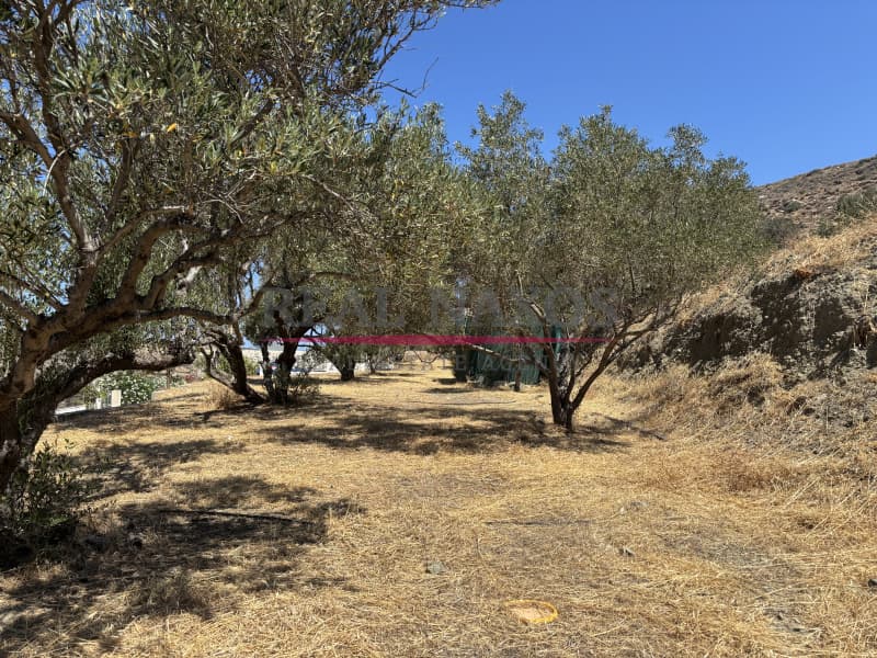 Αγροτεμάχιο στην Εγγαρές, Νάξος — Φωτογραφία 15 από 30