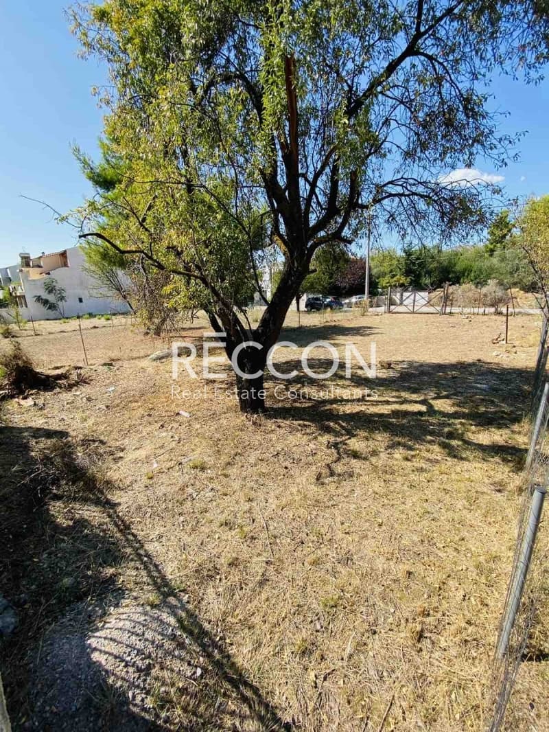 Building Plot in Adames Oikismos Grammos - Foinikas, Kifisia