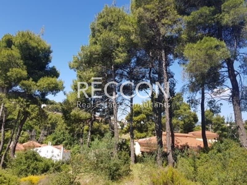 Οικόπεδο στην Καπιτένια, Άγιος Στέφανος — Φωτογραφία 3 από 7