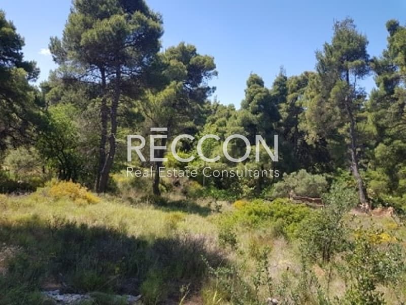 Οικόπεδο στην Καπιτένια, Άγιος Στέφανος — Φωτογραφία 6 από 7