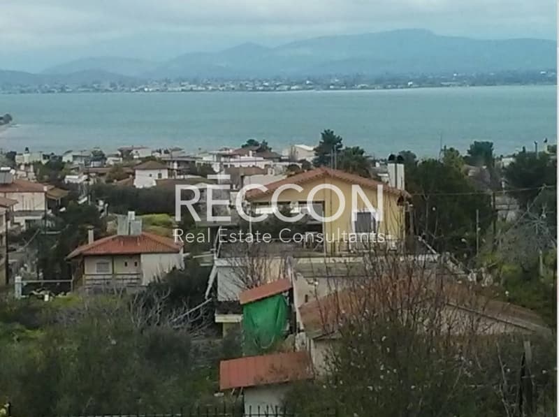 Μονοκατοικία στην Παραλία Αυλίδας, Τανάγρα — Φωτογραφία 2 από 13