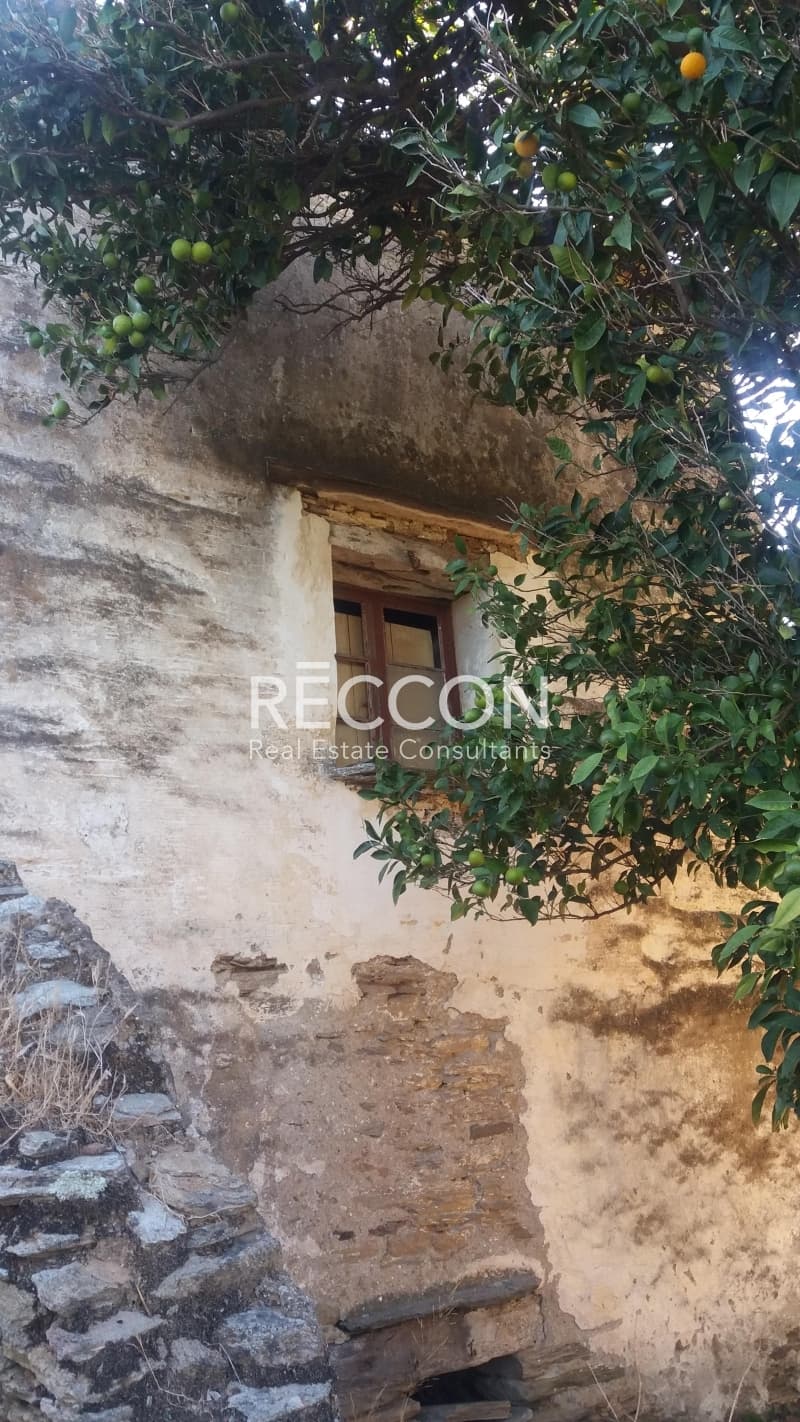 Μονοκατοικία στην Λάμυρα, Άνδρος — Φωτογραφία 6 από 7