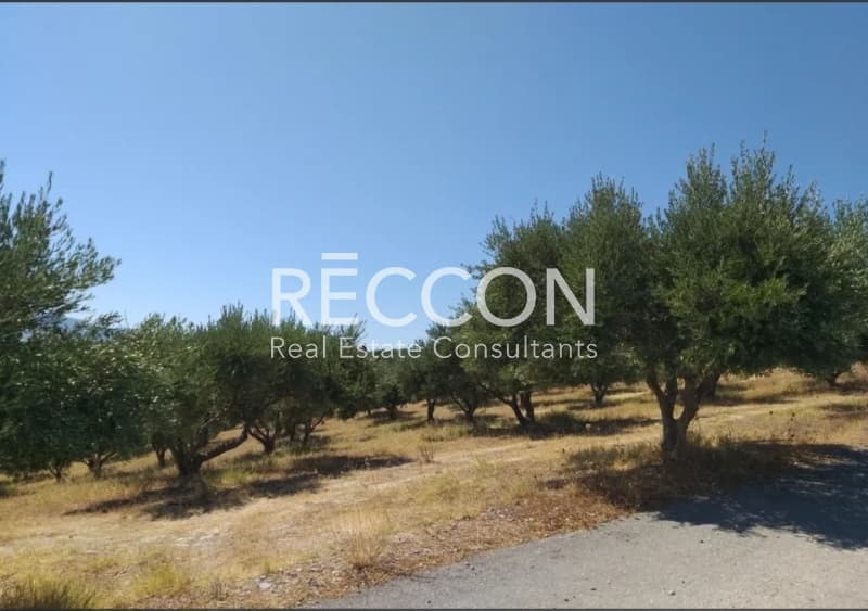 Parcel in Agia Marina, Gazi — Photo 7 of 9