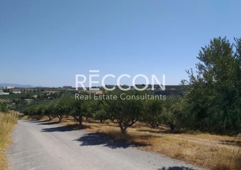 Parcel in Agia Marina, Gazi — Photo 3 of 9