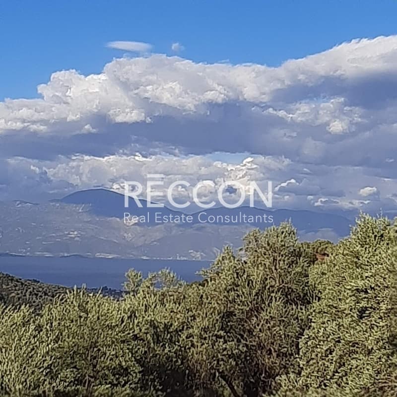Μονοκατοικία στην Χατζής, Αίγιο — Φωτογραφία 18 από 22