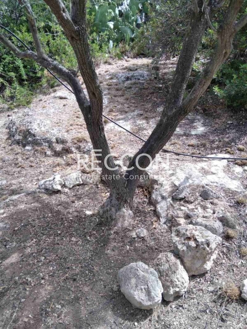 Αγροτεμάχιο στην Σουβάλα, Αίγινα — Φωτογραφία 4 από 16