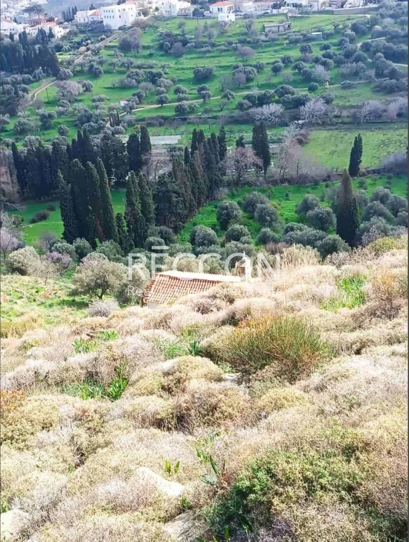 Αγροτεμάχιο στην Χώρα, Άνδρος — Φωτογραφία 9 από 11