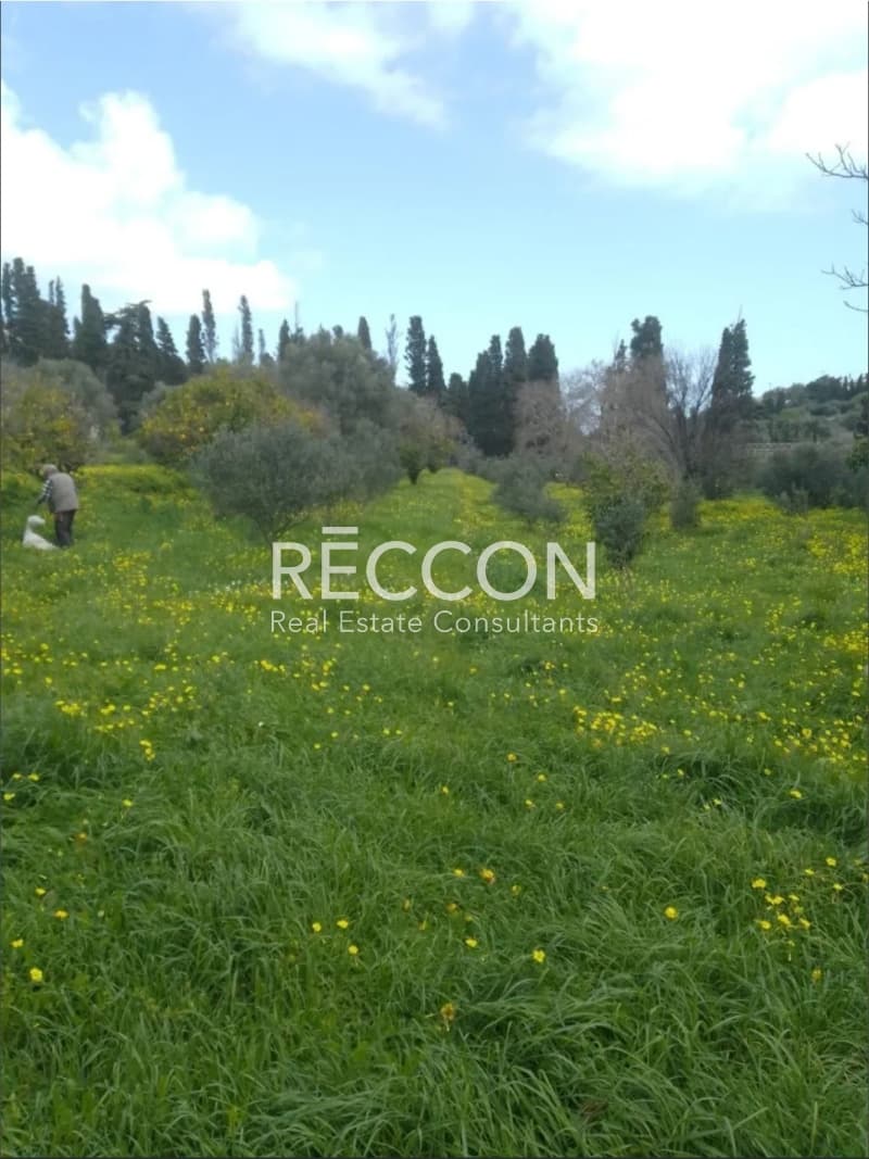 Αγροτεμάχιο στην Χώρα, Άνδρος — Φωτογραφία 8 από 11