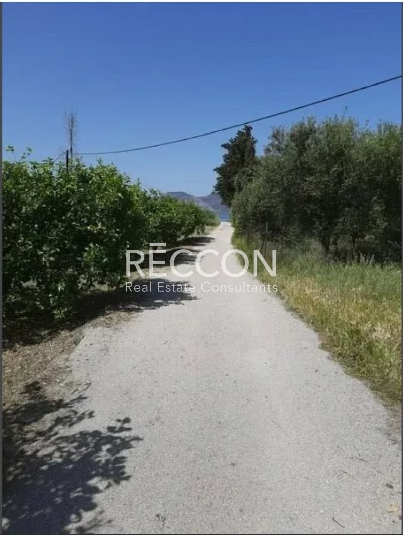Building Plot in Kalloni, Trizina — Photo 2 of 10