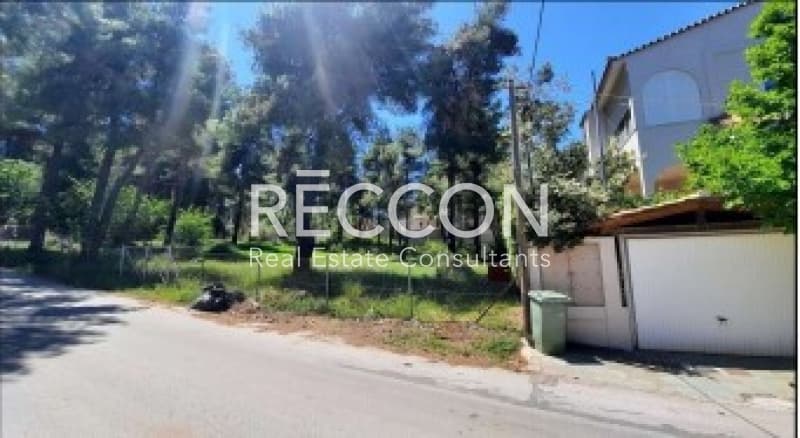 Building Plot in Rodopoli, Rodopoli — Photo 5 of 7