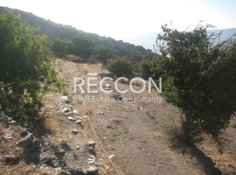 Αγροτεμάχιο στην Κόρθι, Άνδρος — Φωτογραφία 8 από 13