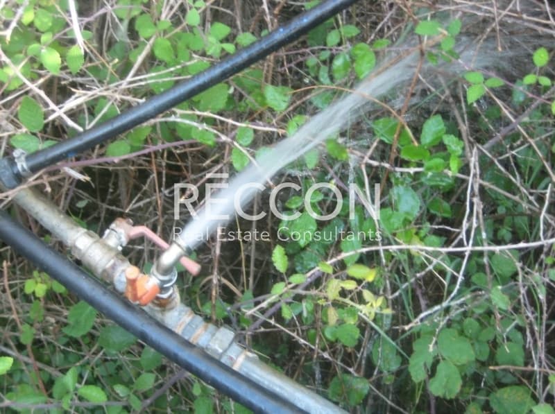 Αγροτεμάχιο στην Κόρθι, Άνδρος — Φωτογραφία 5 από 13