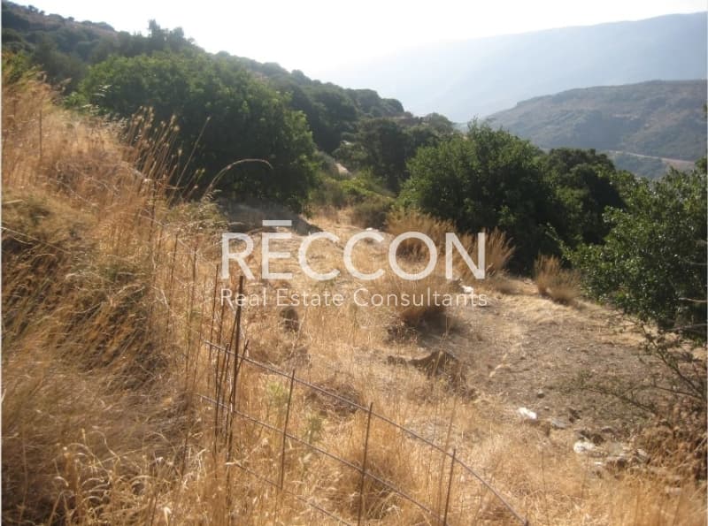 Αγροτεμάχιο στην Κόρθι, Άνδρος — Φωτογραφία 13 από 13