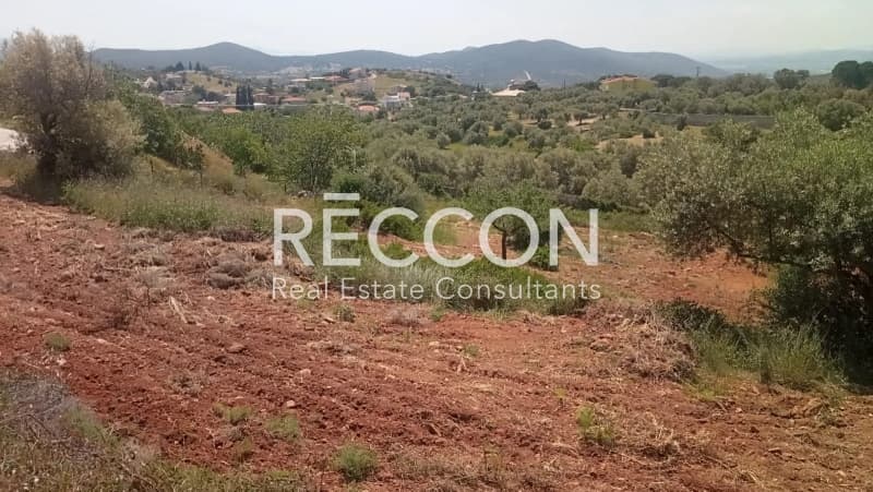 Οικόπεδο στην Γραμματικό - Κέντρο, Γραμματικό — Φωτογραφία 2 από 8
