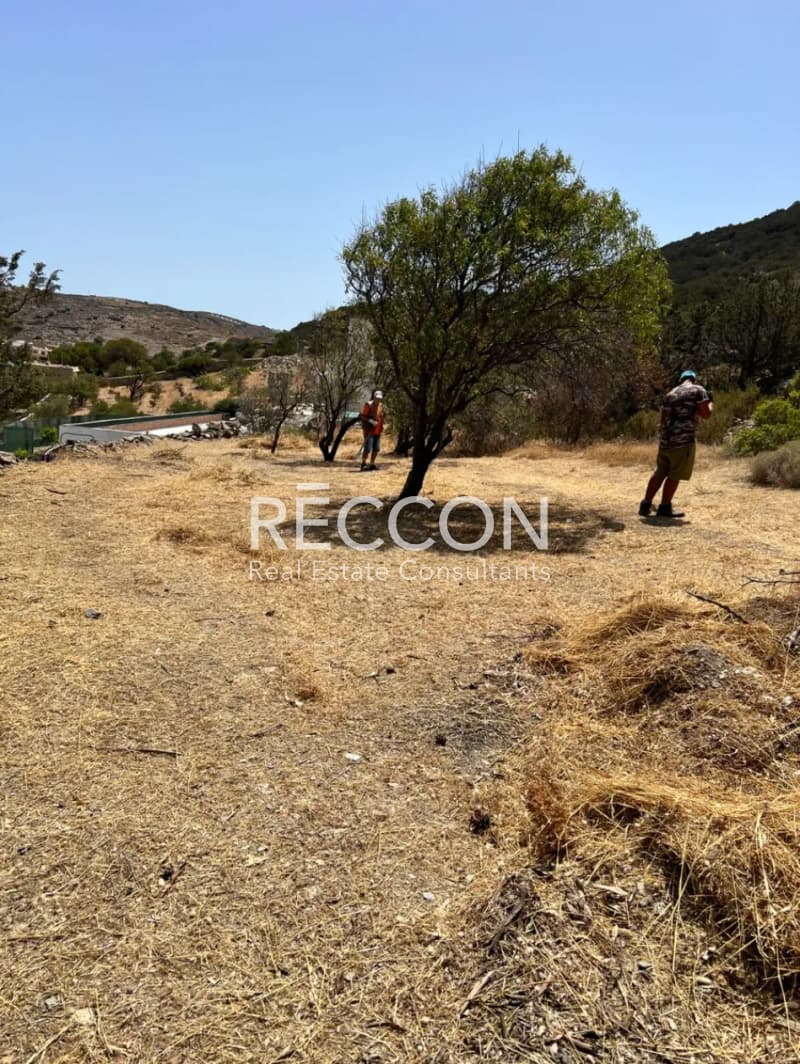 Οικόπεδο στην Ποσειδωνία, Σύρος — Φωτογραφία 9 από 9
