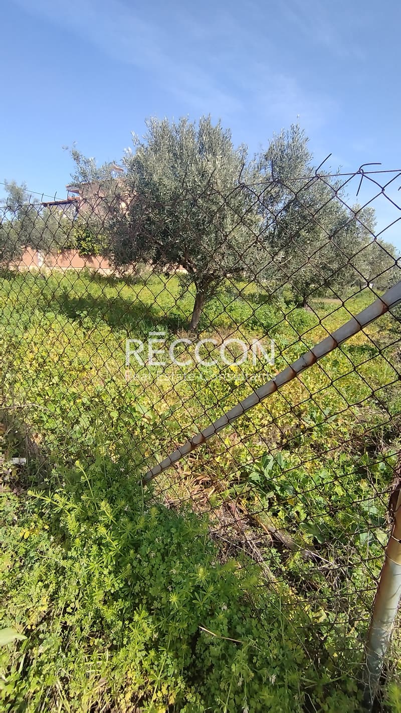 Οικόπεδο στην Κέντρο, Αρτέμιδα (Λούτσα) — Φωτογραφία 2 από 2