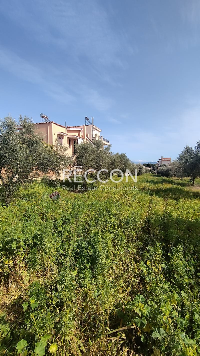 Οικόπεδο στην Κέντρο, Αρτέμιδα (Λούτσα) — Φωτογραφία 1 από 2