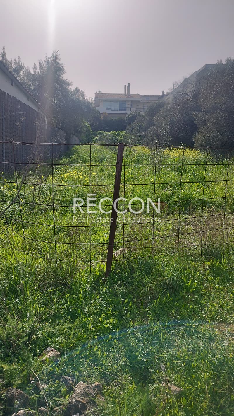 Οικόπεδο στην Νεάπολη, Σπάτα — Φωτογραφία 2 από 5