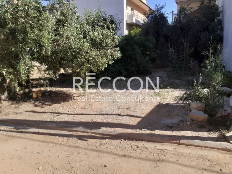 Οικόπεδο στην Γαργηττός, Γέρακας — Φωτογραφία 10 από 13
