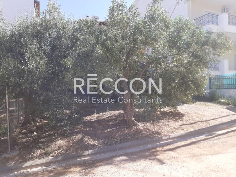 Οικόπεδο στην Γαργηττός, Γέρακας — Φωτογραφία 11 από 13