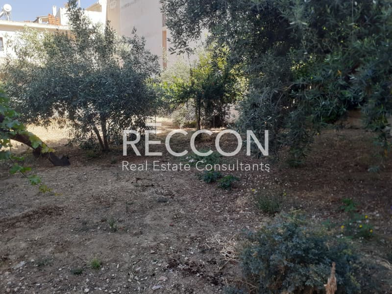 Οικόπεδο στην Γαργηττός, Γέρακας — Φωτογραφία 5 από 13