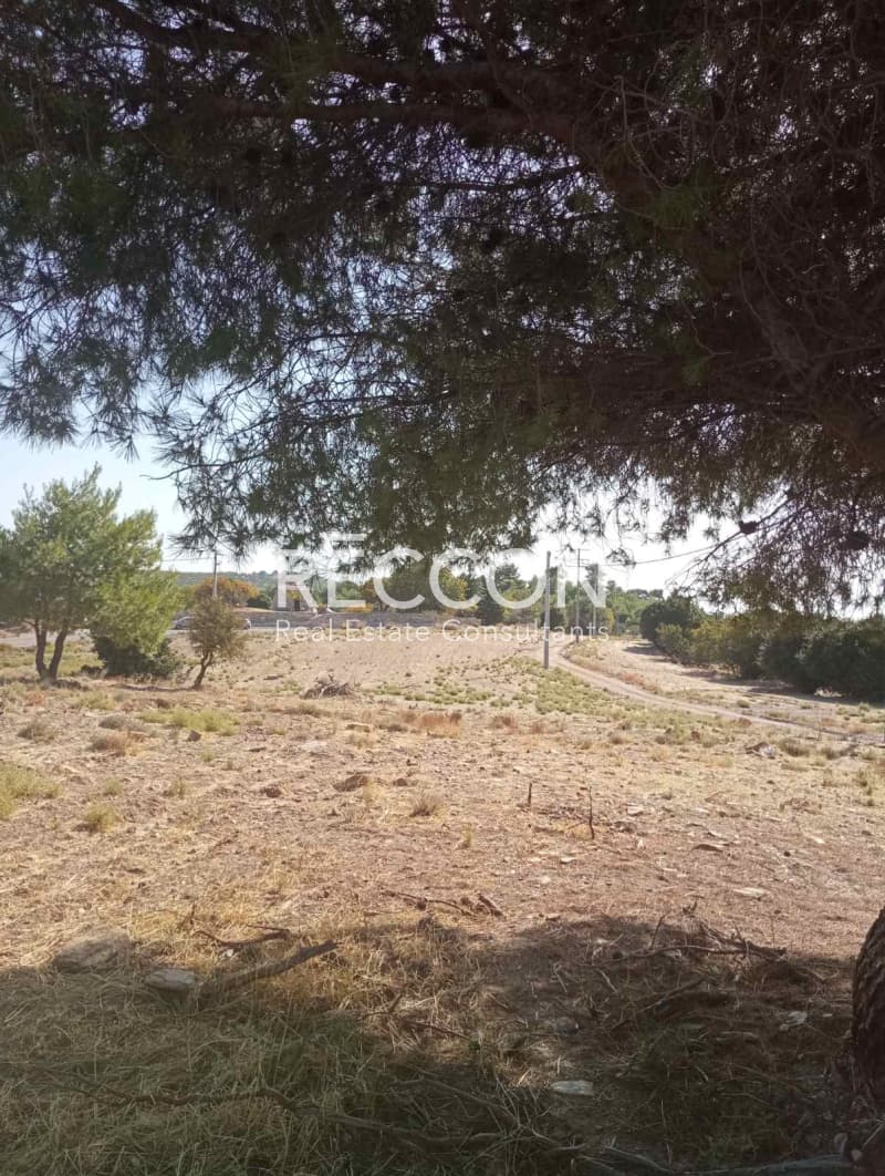 Οικόπεδο στην Γραμματικό - Κέντρο, Γραμματικό — Φωτογραφία 10 από 10