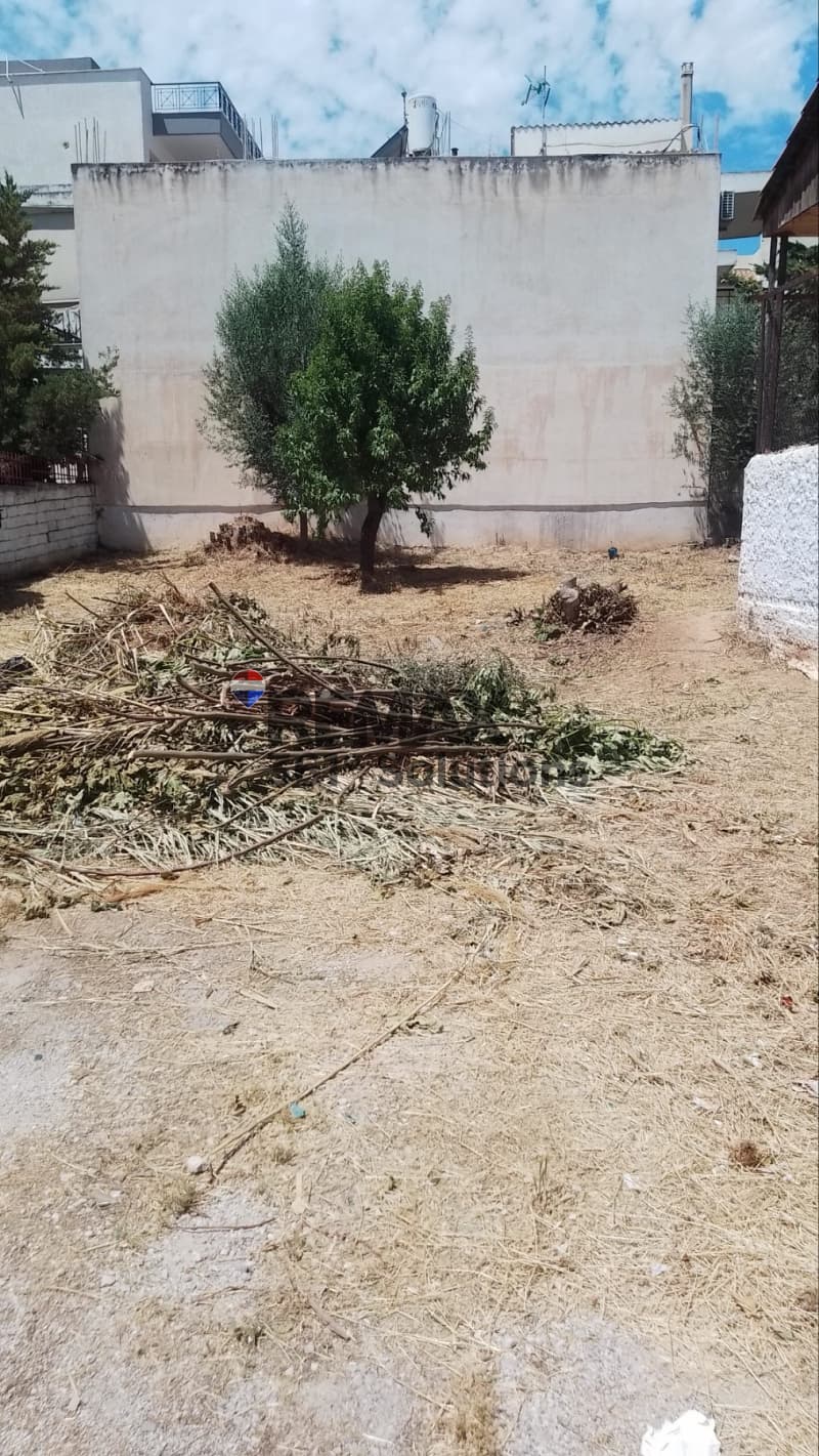 Οικόπεδο στην Άνω Μπαλάνα, Παλλήνη — Φωτογραφία 2 από 8
