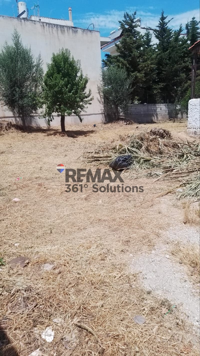 Οικόπεδο στην Άνω Μπαλάνα, Παλλήνη — Φωτογραφία 8 από 8