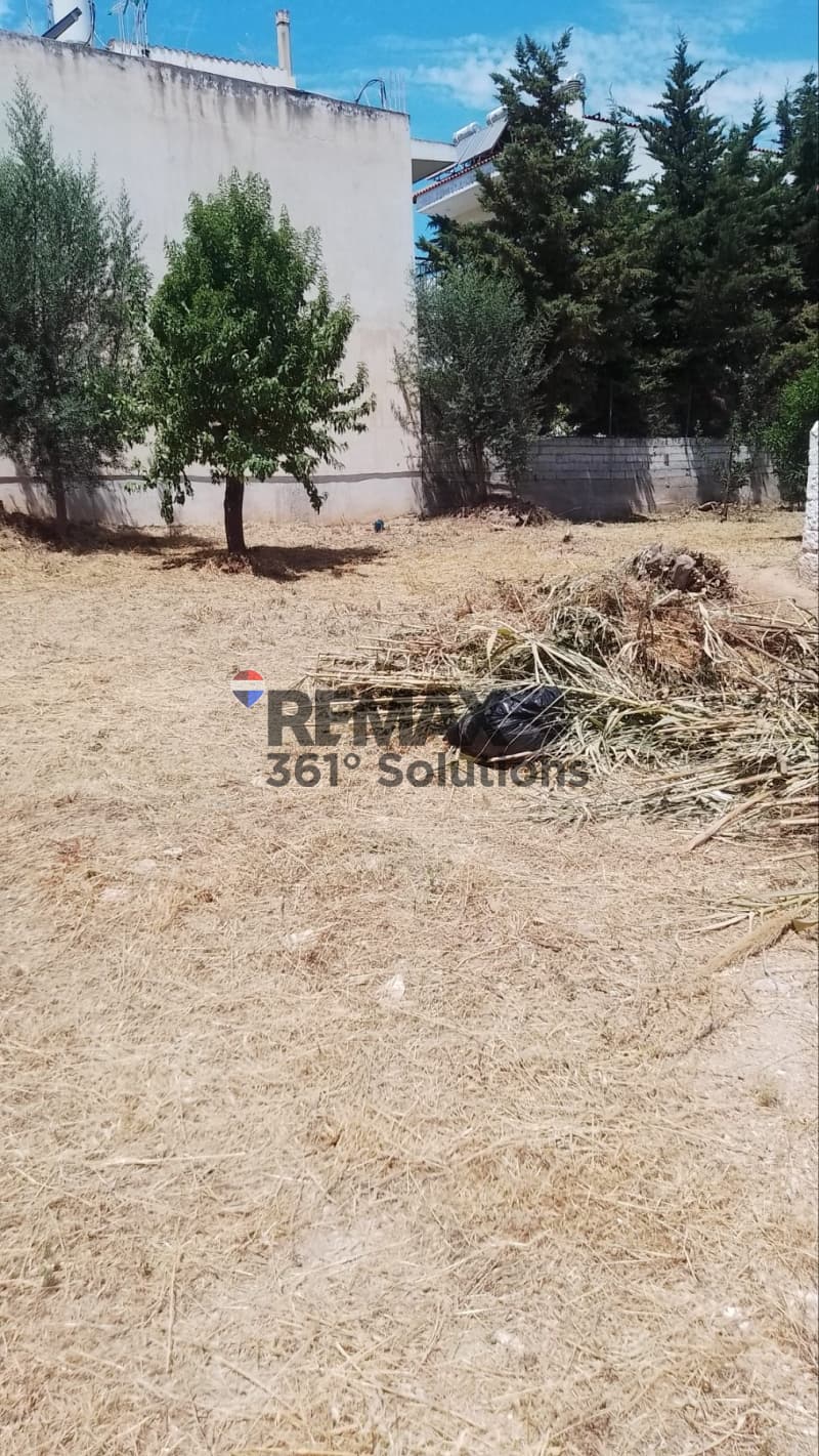 Οικόπεδο στην Άνω Μπαλάνα, Παλλήνη — Φωτογραφία 3 από 8