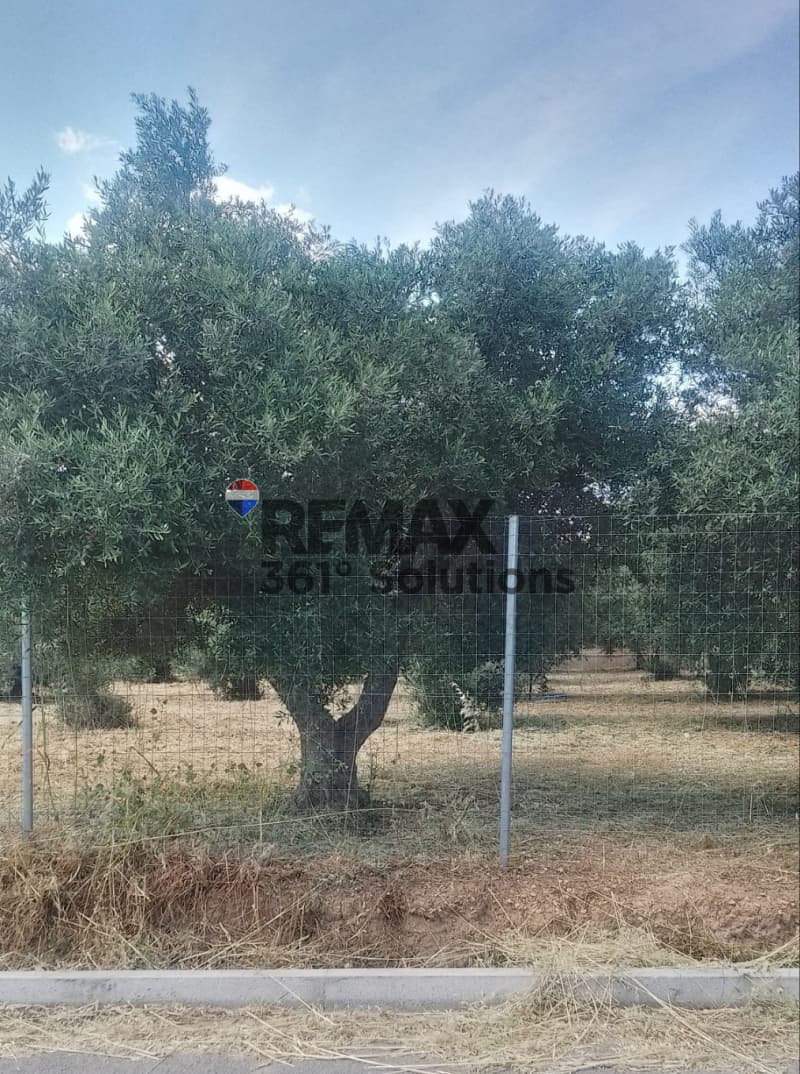 Οικόπεδο στην Κάτω Χαρβάτι, Παλλήνη — Φωτογραφία 6 από 6