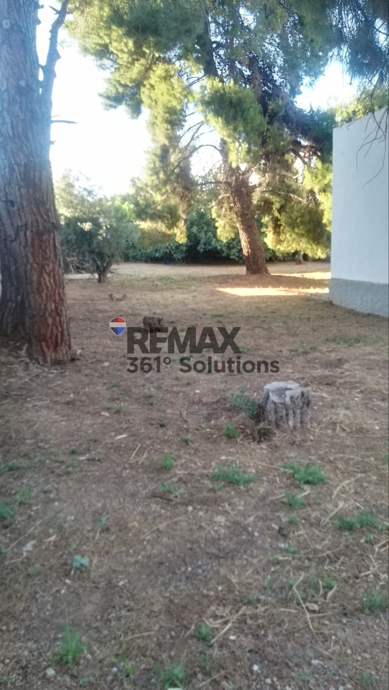 Οικόπεδο στην Άνω Μπαλάνα, Παλλήνη — Φωτογραφία 2 από 9