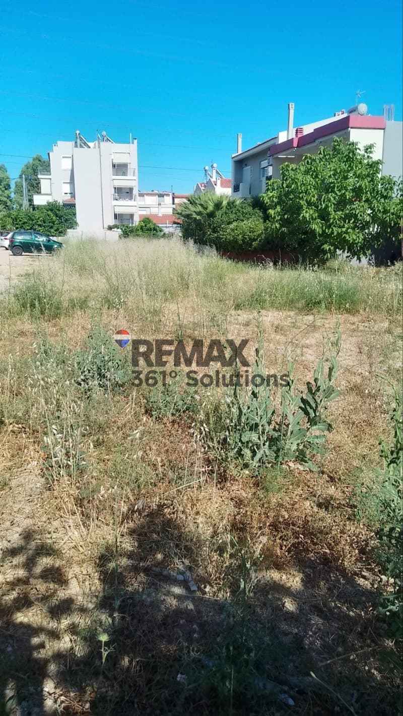 Οικόπεδο στην Μπάλανα, Γέρακας — Φωτογραφία 3 από 5