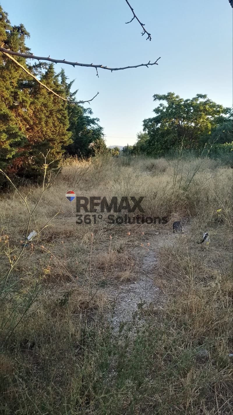 Αγροτεμάχιο στην Καισάρεια, Παλλήνη — Φωτογραφία 6 από 6