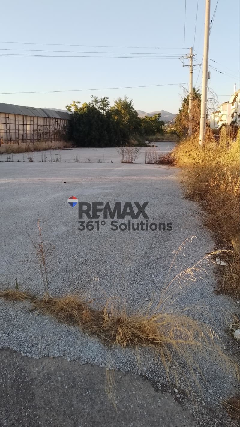 Αγροτεμάχιο στην Καισάρεια, Παλλήνη — Φωτογραφία 4 από 6