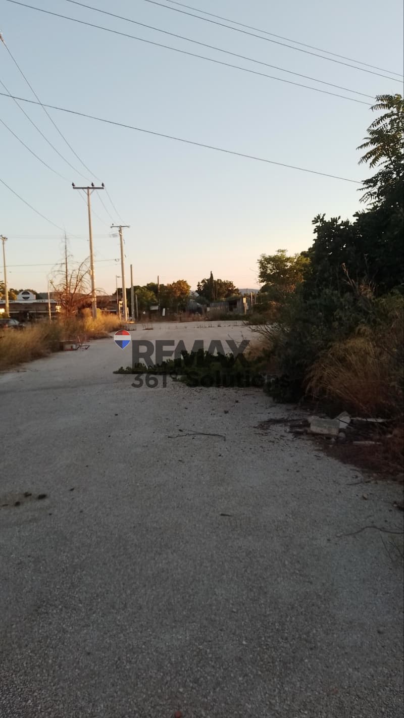 Αγροτεμάχιο στην Καισάρεια, Παλλήνη — Φωτογραφία 1 από 6