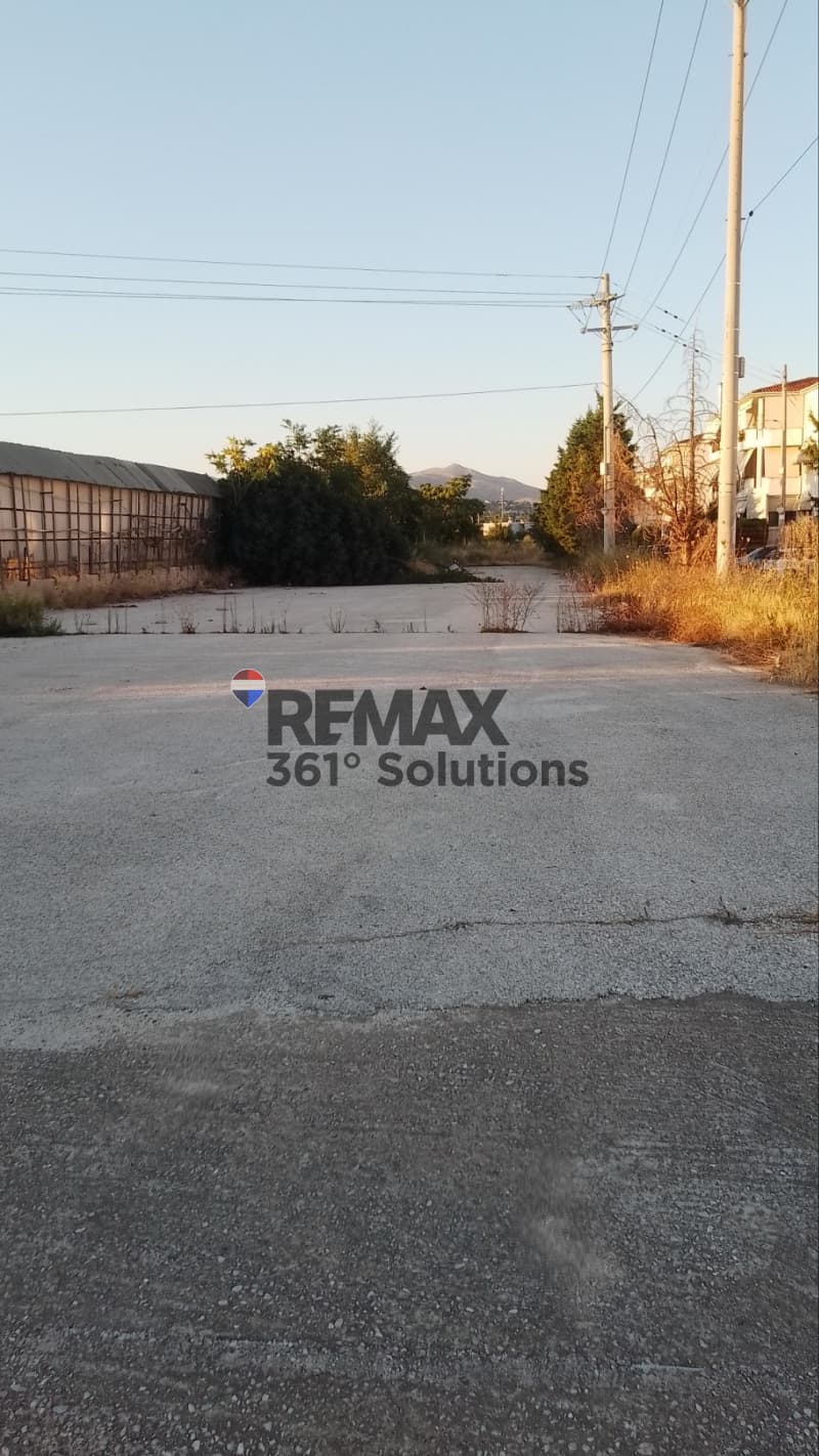 Αγροτεμάχιο στην Καισάρεια, Παλλήνη — Φωτογραφία 5 από 6