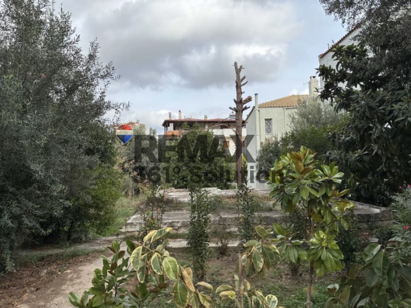 Οικόπεδο στην Άνω Μπαλάνα, Παλλήνη — Φωτογραφία 3 από 3