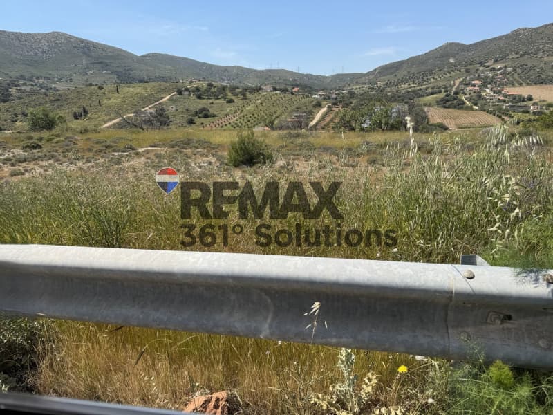 Αγροτεμάχιο στην Διψέλιζα, Κερατέα — Φωτογραφία 3 από 6