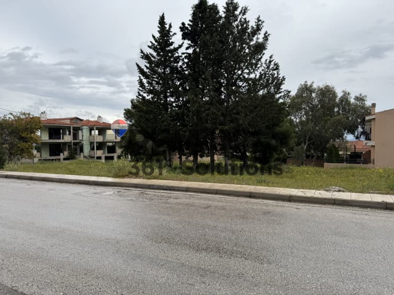 Οικόπεδο στην Αγία Τριάδα, Παιανία — Φωτογραφία 9 από 10