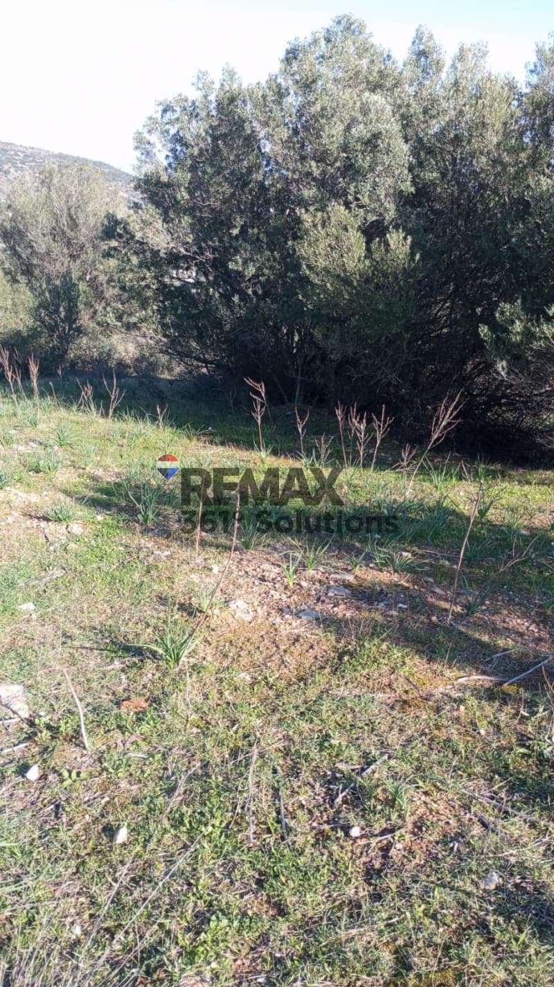 Building Plot in Agia Marina, Paiania — Photo 4 of 5